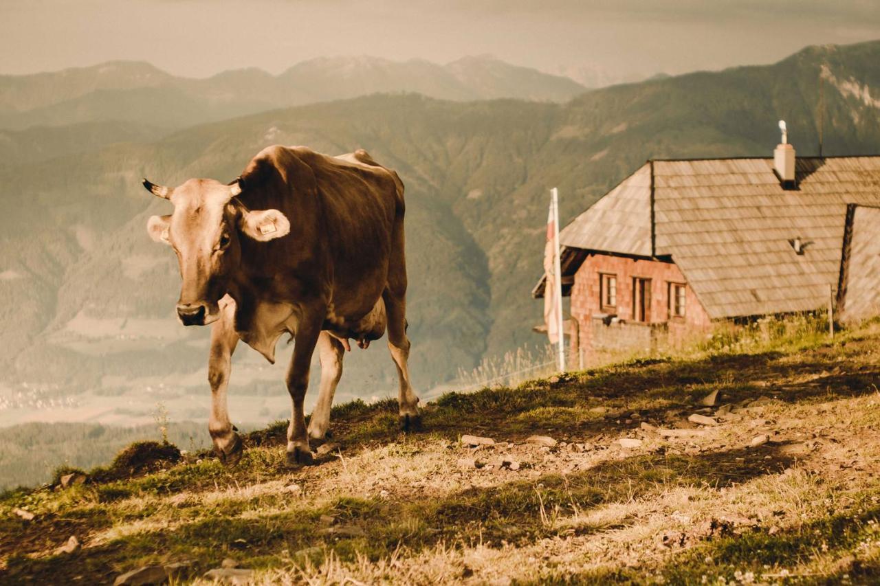 Alexanderhuette - Nur Zu Fuss Erreichbar Millstatt Exterior foto
